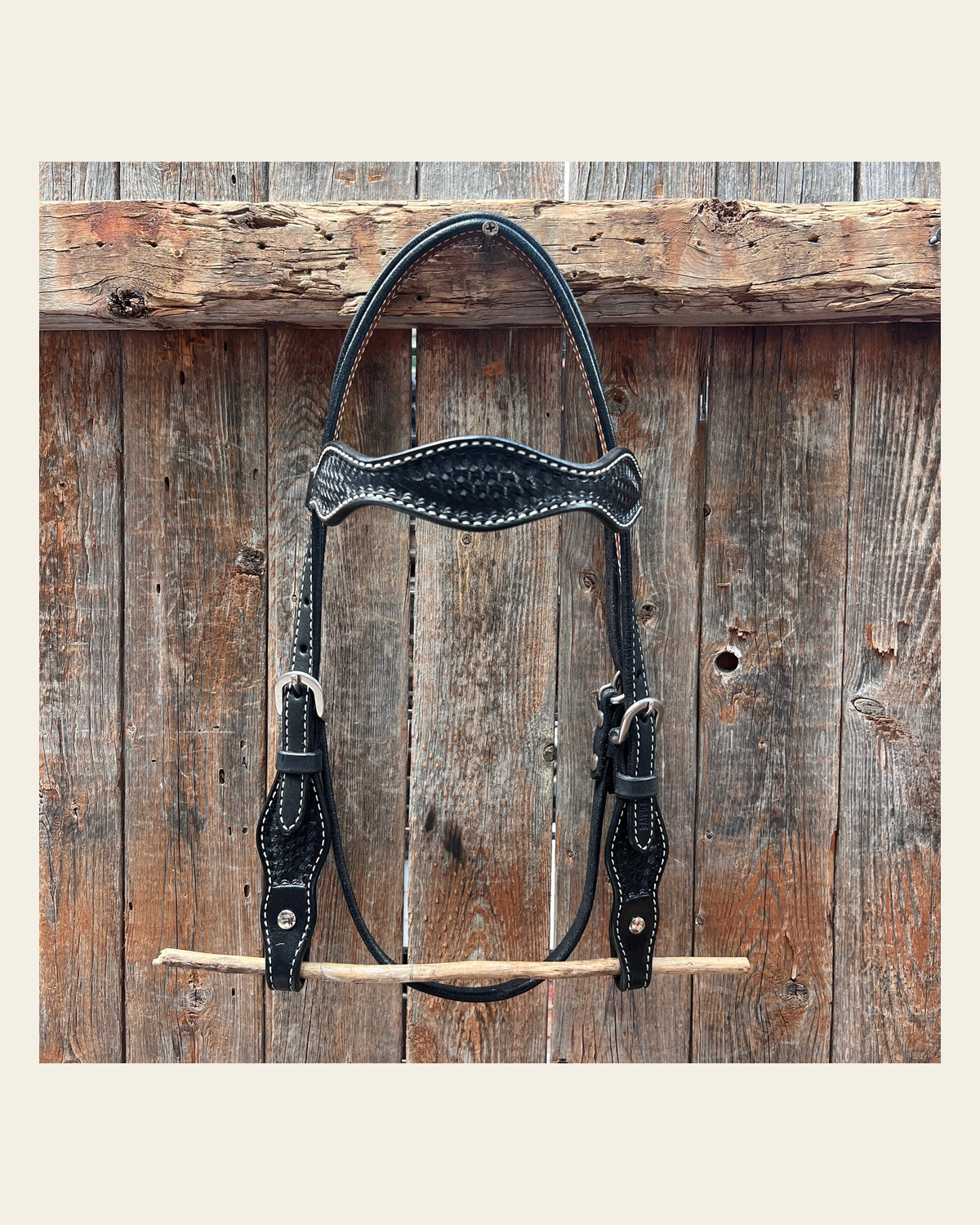 Black Cob - Gag Browband Headstall / Bridle- Short Cheeks on a warm cream background