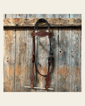 Basketweave Medium Oil Browband Headstall / Bridle on a warm cream background