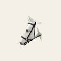 Bitfree Leather English Bitless Bridle Horse Reins Brown Hilason
