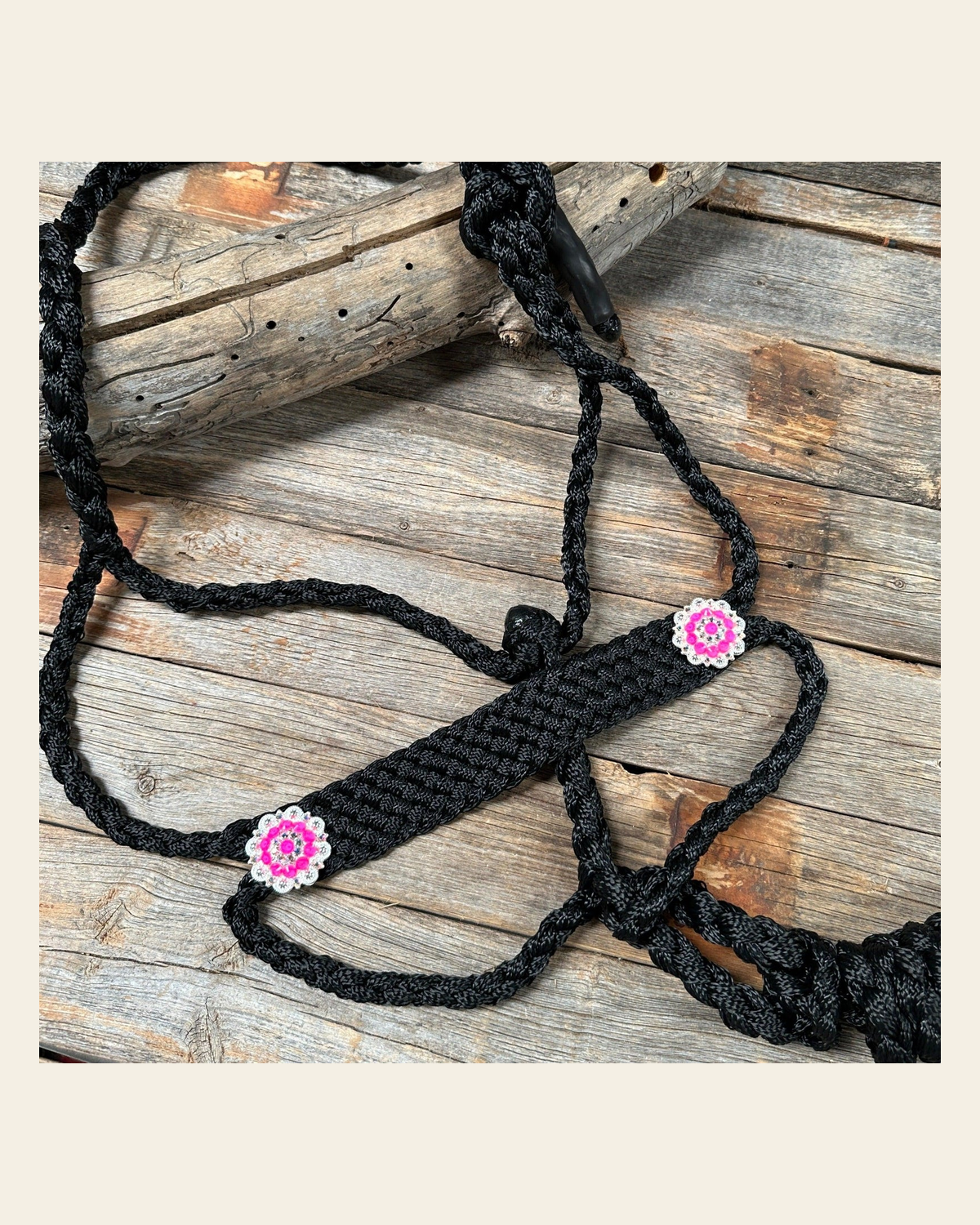 Black and Neon Pink Mule Tape Halter - #MT120 on a warm cream background