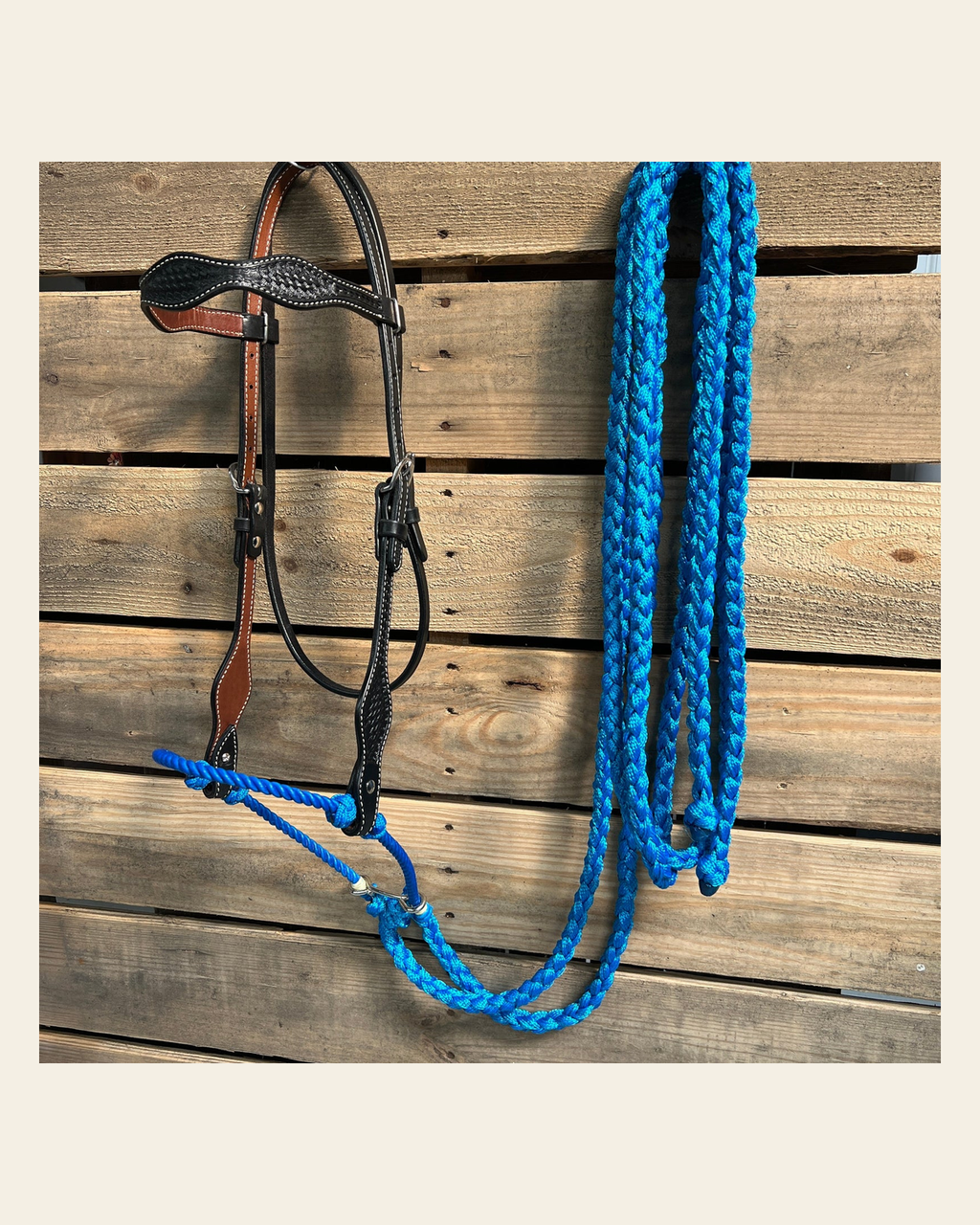 Black Basketweave Blue Loping Hackamore #LHK003 on a warm cream background