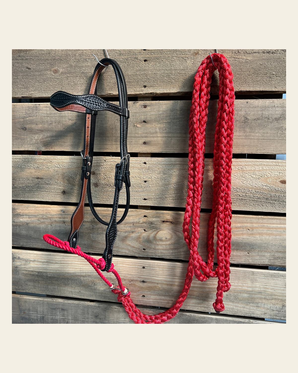 Black Basketweave Red Loping Hackamore #LHK002 on a warm cream background