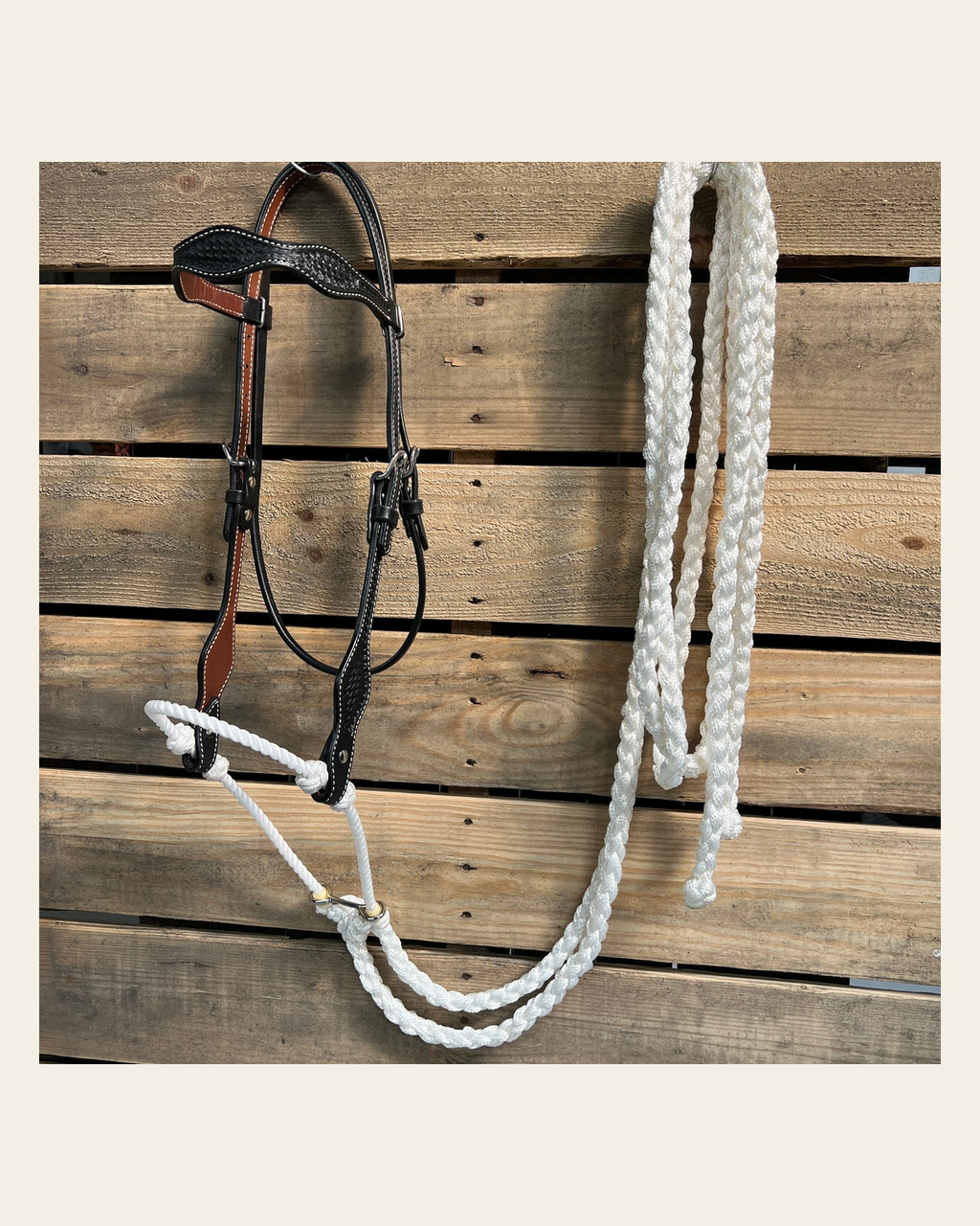 Black Basketweave White Loping Hackamore #LHK004 on a warm cream background