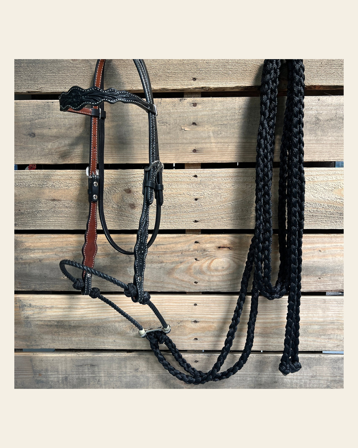 Black Floral Scalloped Black Loping Hackamore #LHK014 on a warm cream background