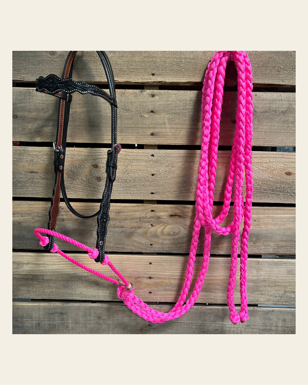 Black Floral Scalloped Neon Pink Loping Hackamore #LHK015 on a warm cream background