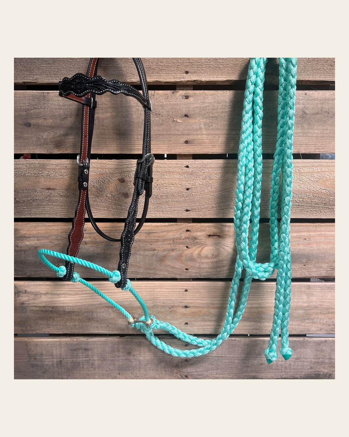 Black Floral Scalloped Turquoise Loping Hackamore #LHK016 on a warm cream background