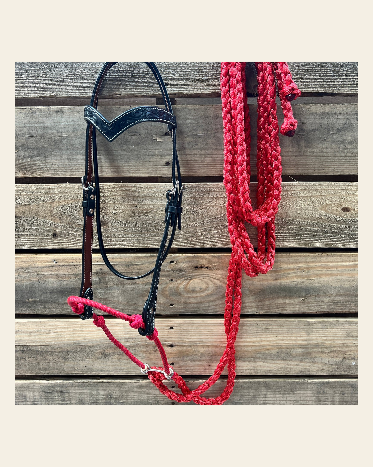 Black Floral V-Brow Red Loping Hackamore #LHK026 on a warm cream background