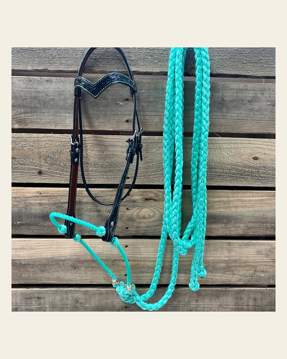Black Floral V-Brow Turquoise Loping Hackamore #LHK028 on a warm cream background