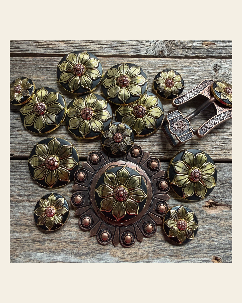 Black & Gold Sunflower Western Concho W125 on a warm cream background