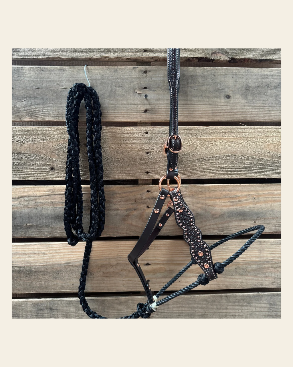 Black Honeycomb Tooled Lariat & Leather Combo Halter on a warm cream background