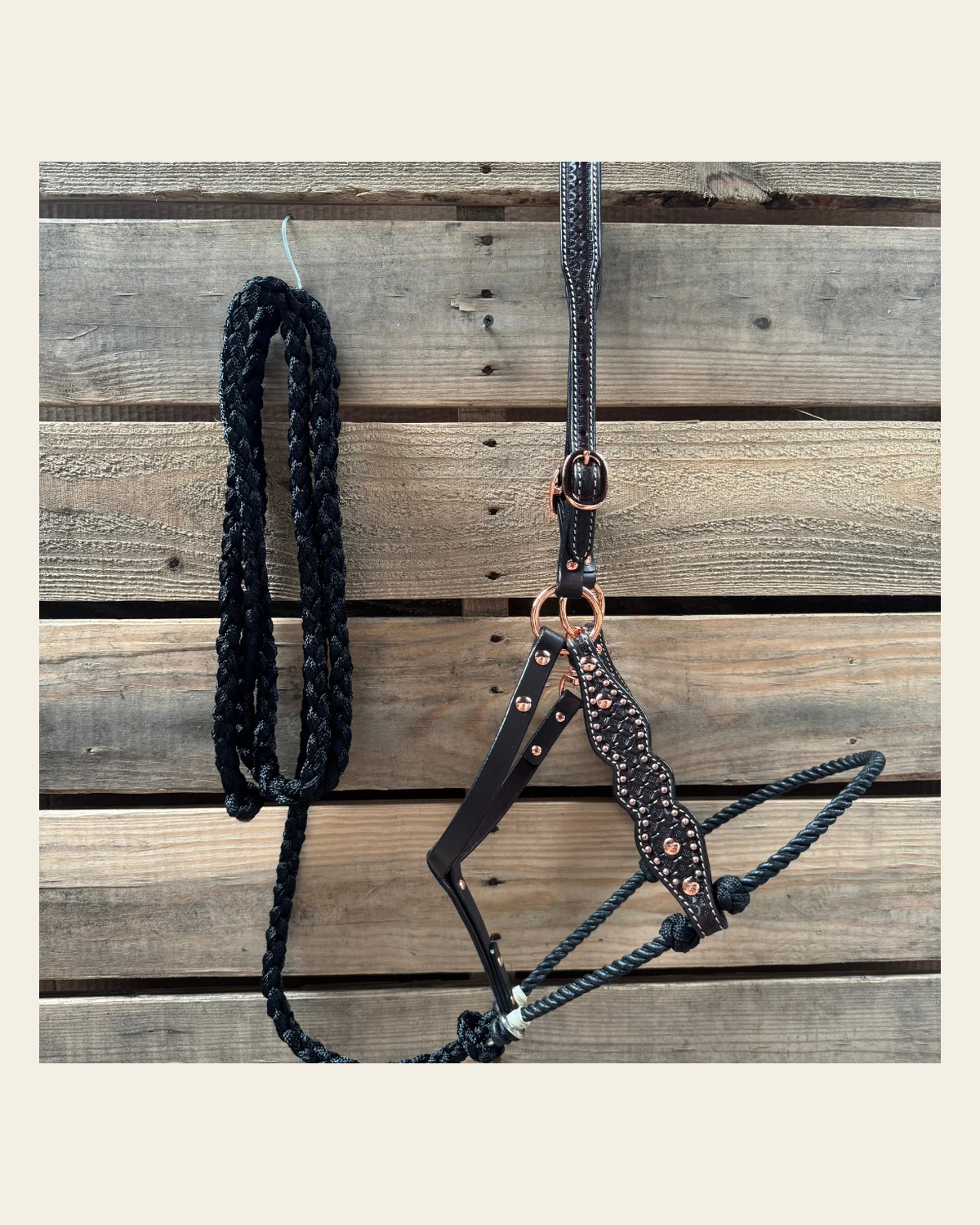 Black Honeycomb Tooled Lariat & Leather Combo Halter on a warm cream background