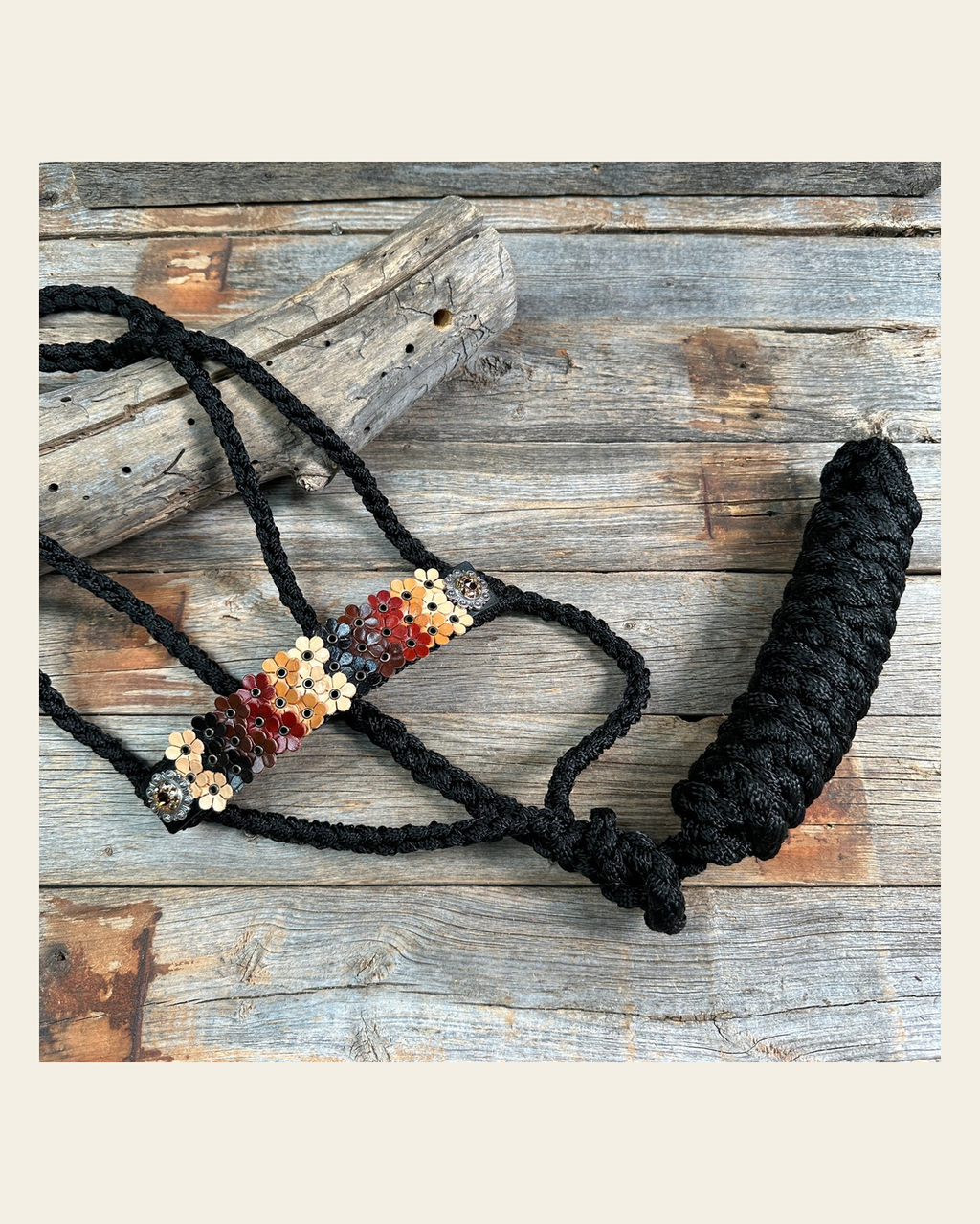 Black Mule Tape Halter - Multi Floral and Champagne #MT230 on a warm cream background