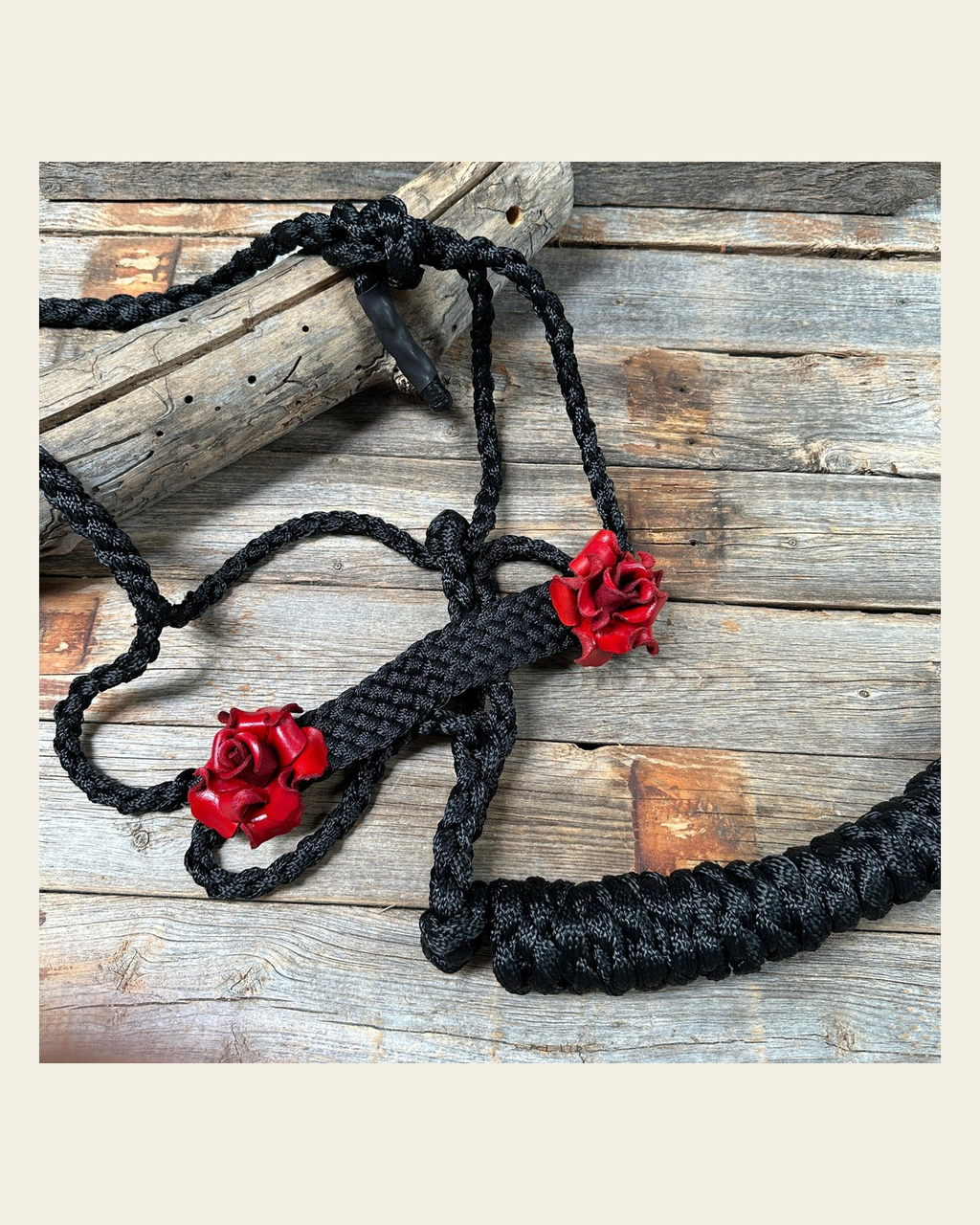 Black Mule Tape Halter - Red Rose #MT109 on a warm cream background