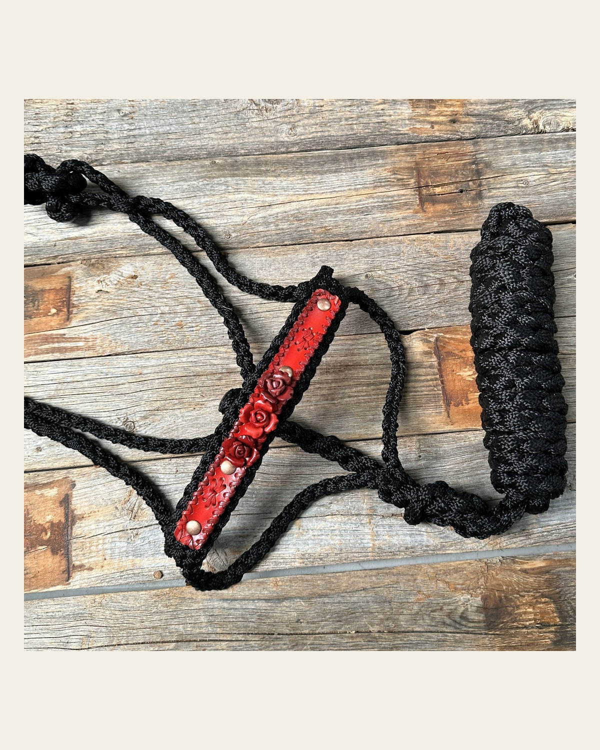 Black Mule Tape Halter - Red Roses #MT221 on a warm cream background