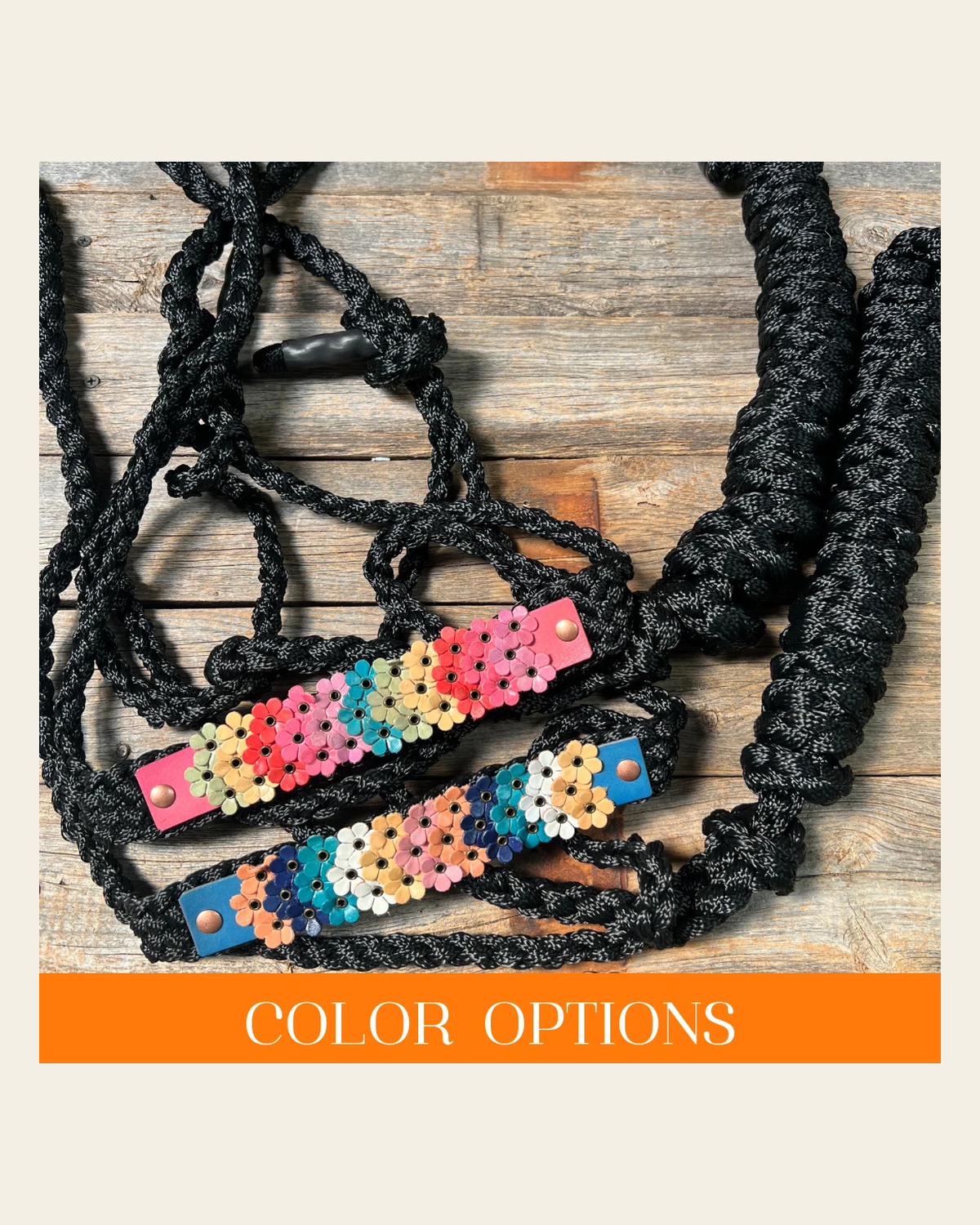 Black Mule Tape Triple Flower Halter on a warm cream background