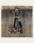 Black Nylon Horse Halter – Bronc Noseband with Crystal Conchos NH100 on a warm cream background