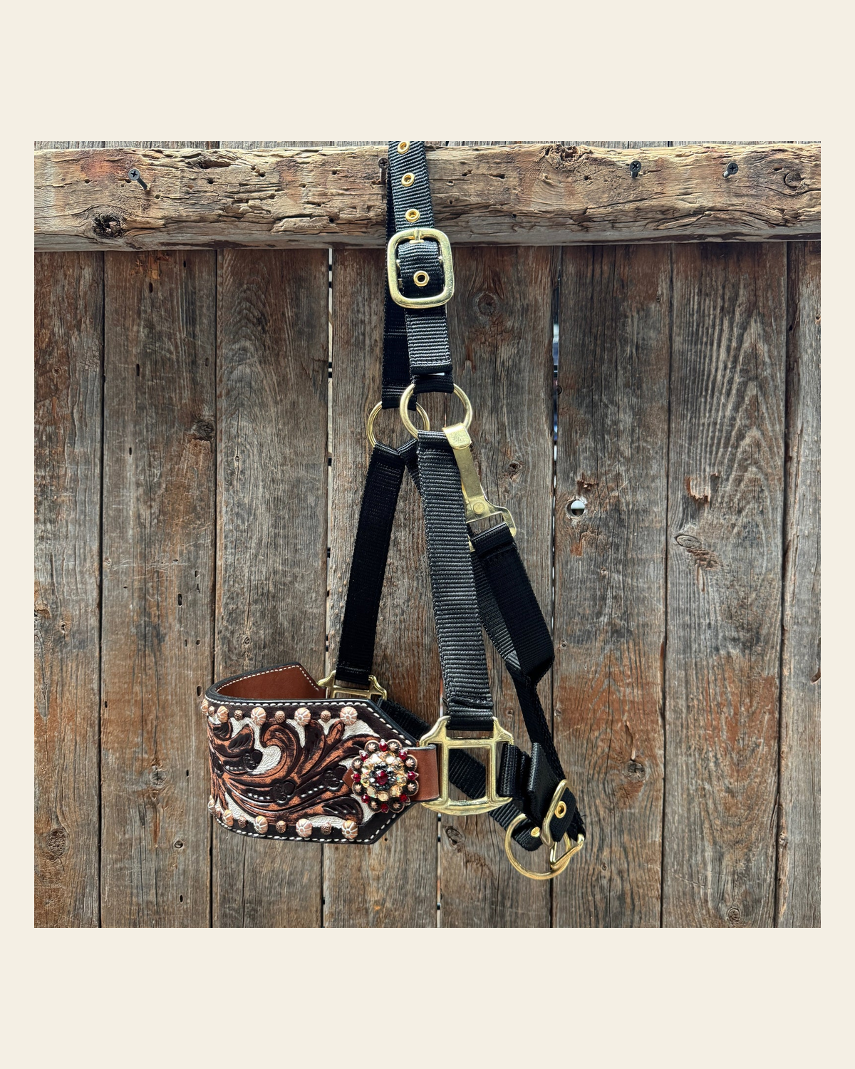 Black Nylon Horse Halter – Bronc Noseband with Crystal Conchos NH100 on a warm cream background
