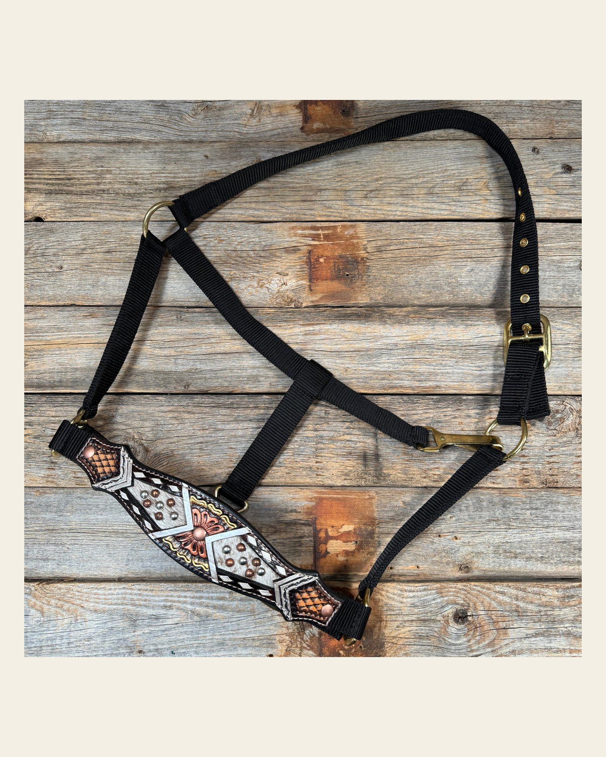 Black Nylon Halter with Cowhide Leather Noseband #NH115 on a warm cream background