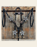 Black Oil Floral Jet and Stars Browband/One Ear Breastcollar Tack Set #BBBC679 on a warm cream background