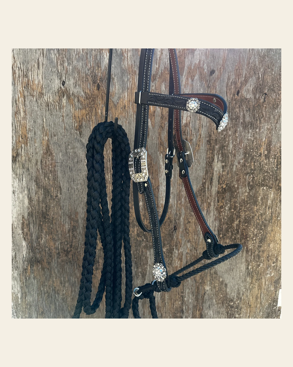Black V-Brow Clear Loping Hackamore #LHK103 on a warm cream background