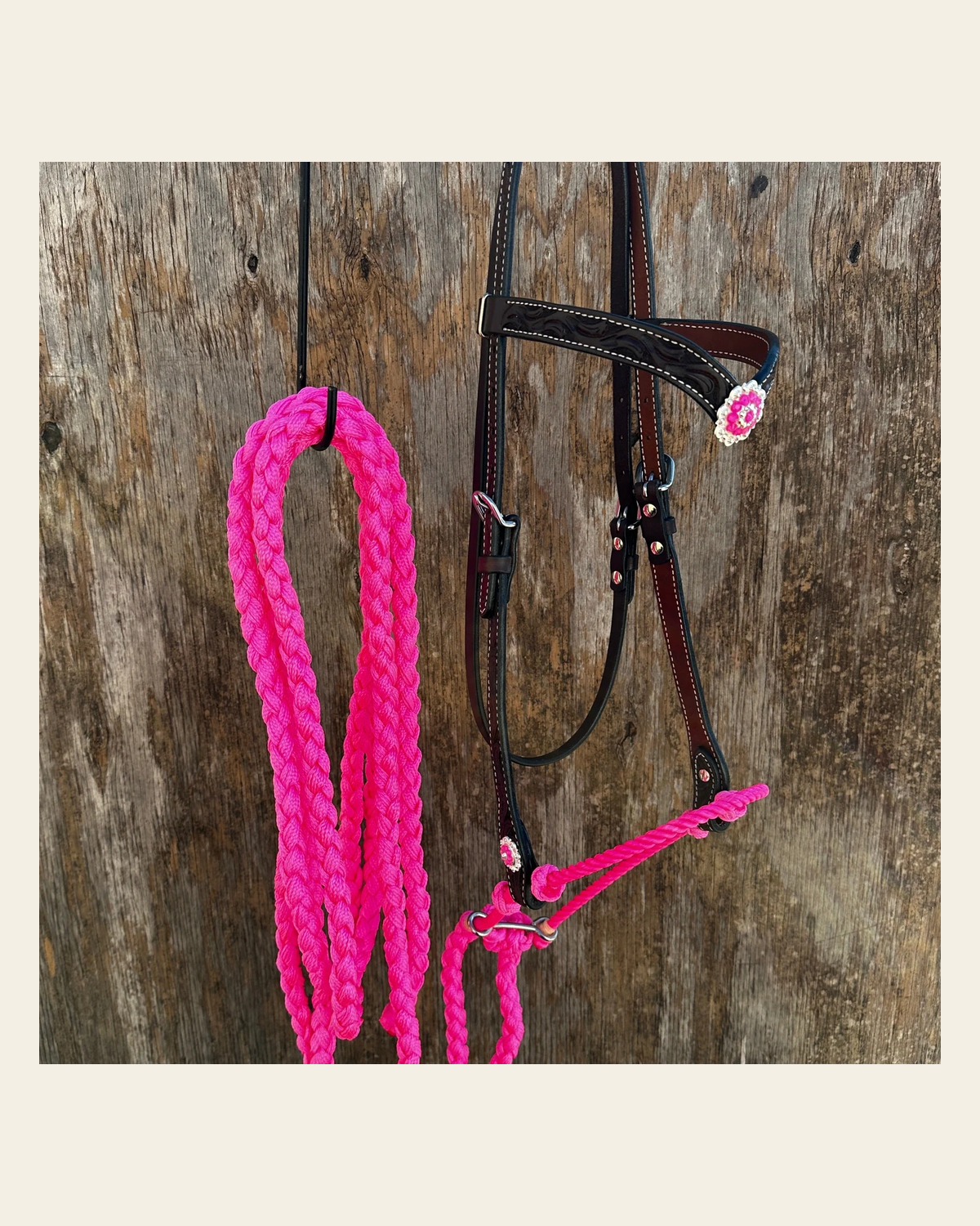Black V-Brow Neon Pink Loping Hackamore #LHK101 on a warm cream background