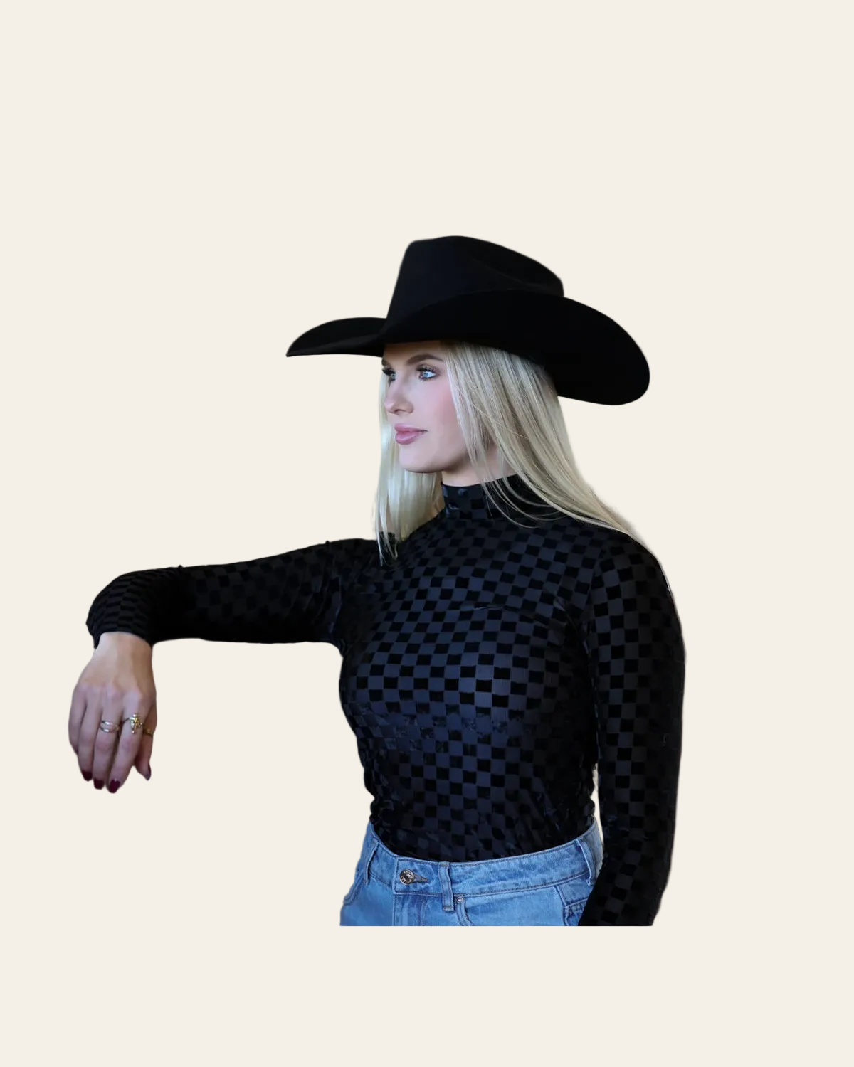 Black Velvet Burnout Mock Neck Top on a warm cream background