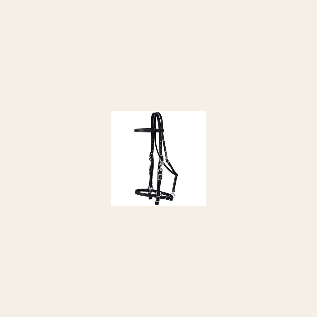 Black Western Tack Brahma Webb Horse Halter Bridle By Weaver Leather