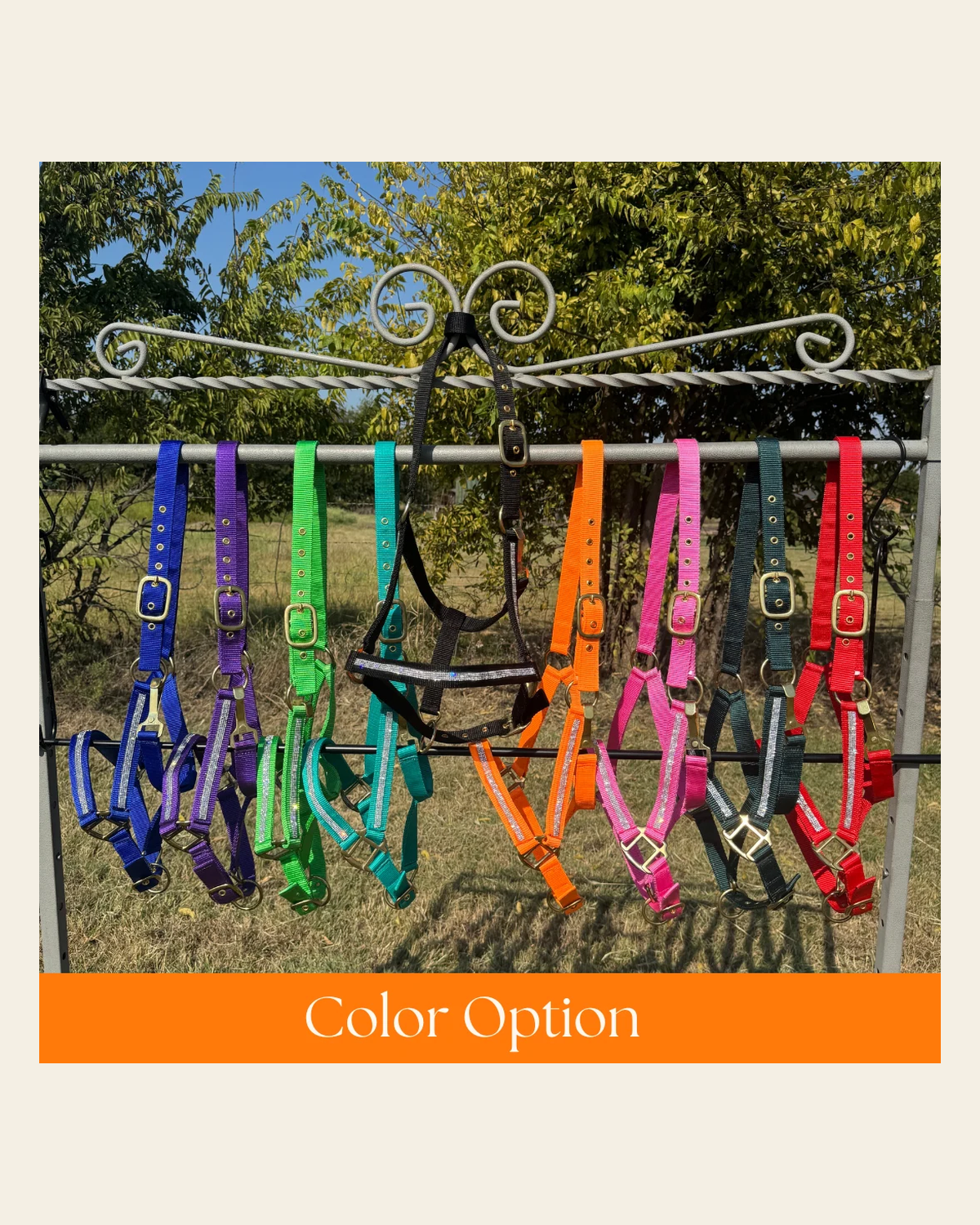 Bling Nylon Horse Halter - Assorted Colors on a warm cream background