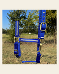 Blue Bling Nylon Horse Halter BNHBLUE on a warm cream background