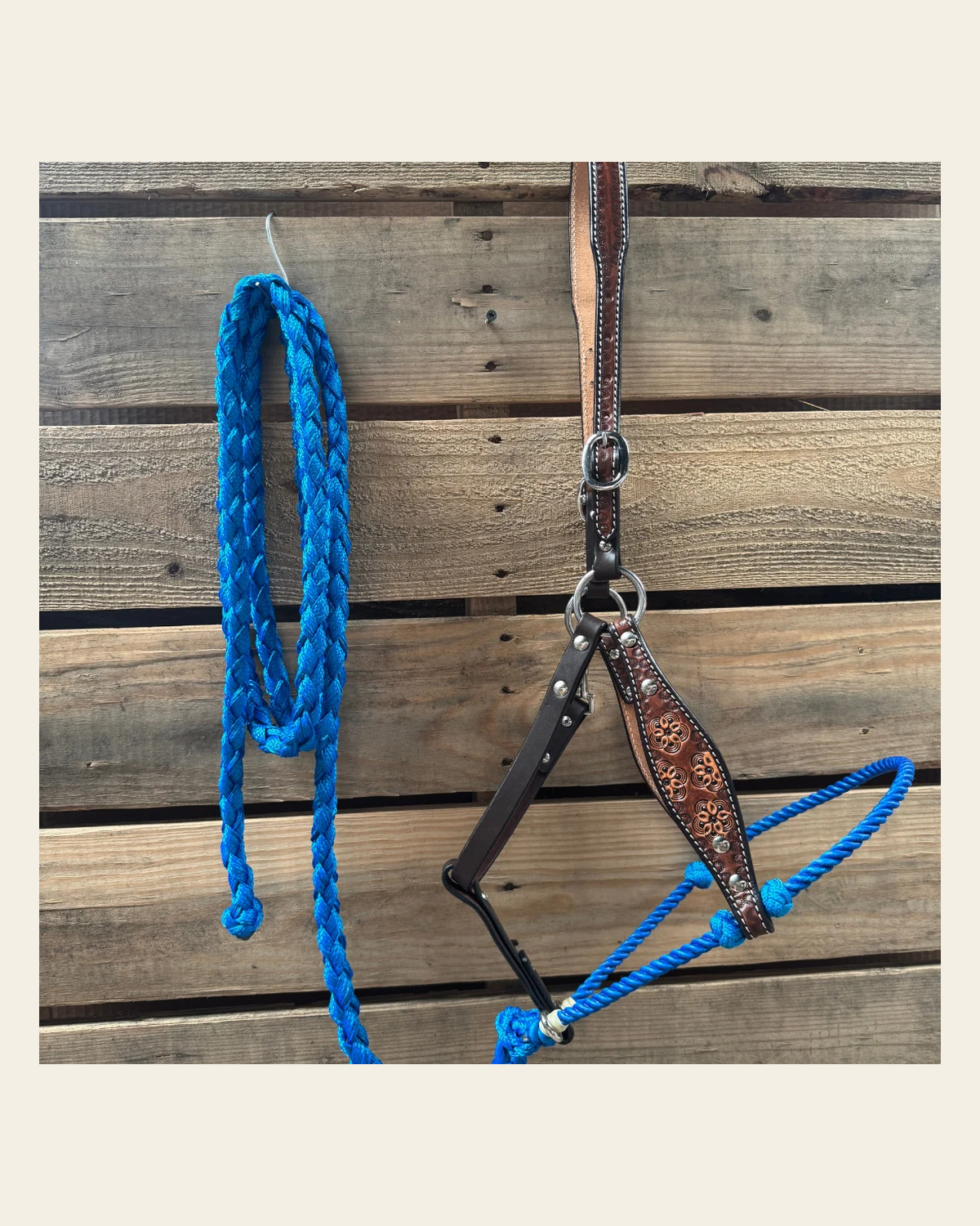 Blue Flower Power Tooled Lariat & Leather Combo Halter on a warm cream background