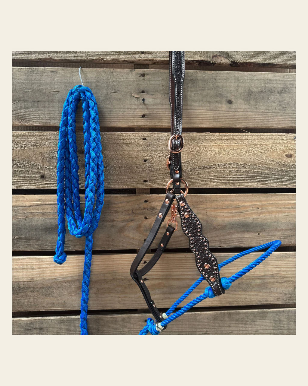 Blue Honeycomb Tooled Lariat & Leather Combo Halter on a warm cream background