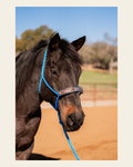 Blue Mule Tape Halter - Feathers and Turquoise #MT214 on a warm cream background