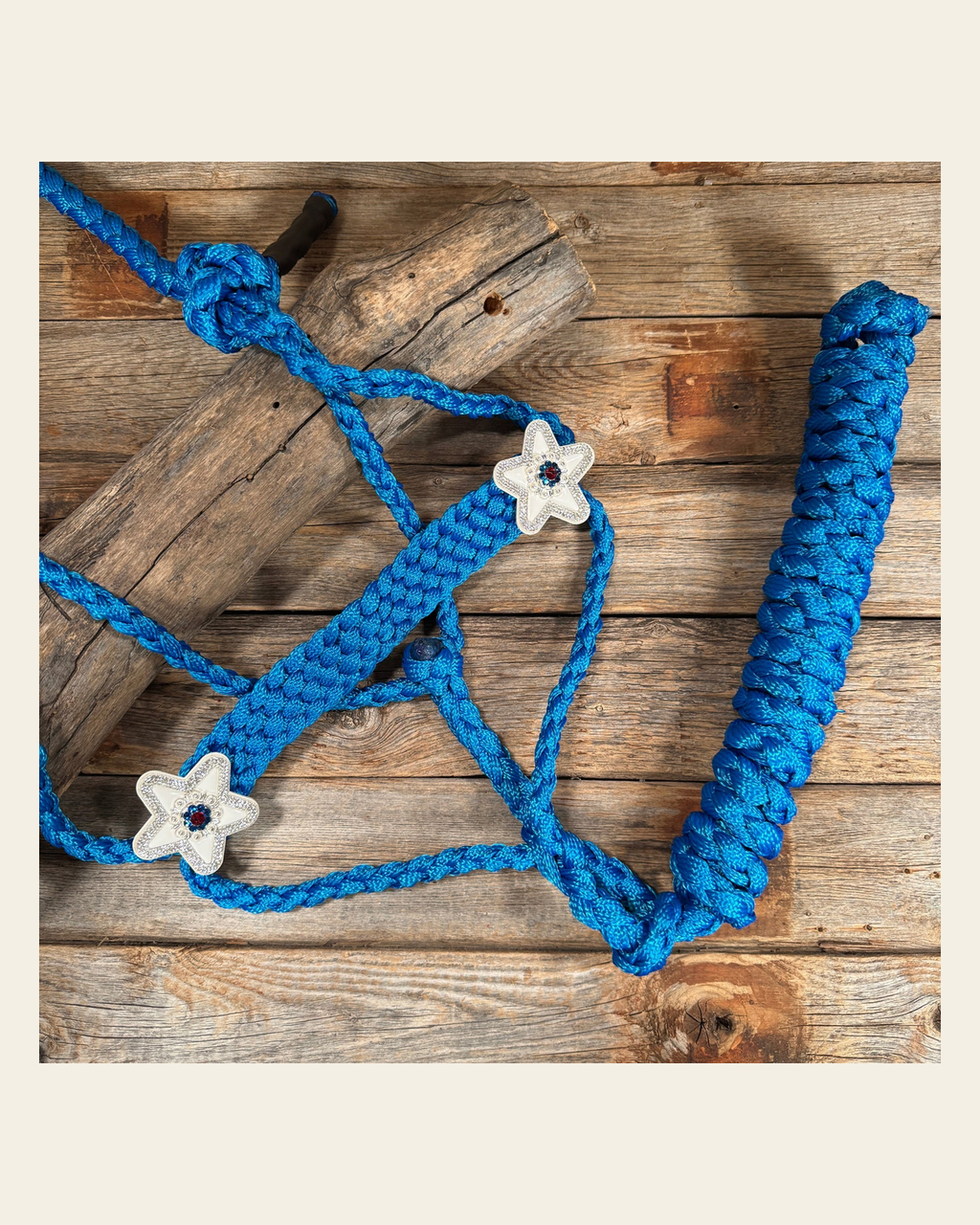 Blue Mule Tape Halter - White Star #MT259 on a warm cream background