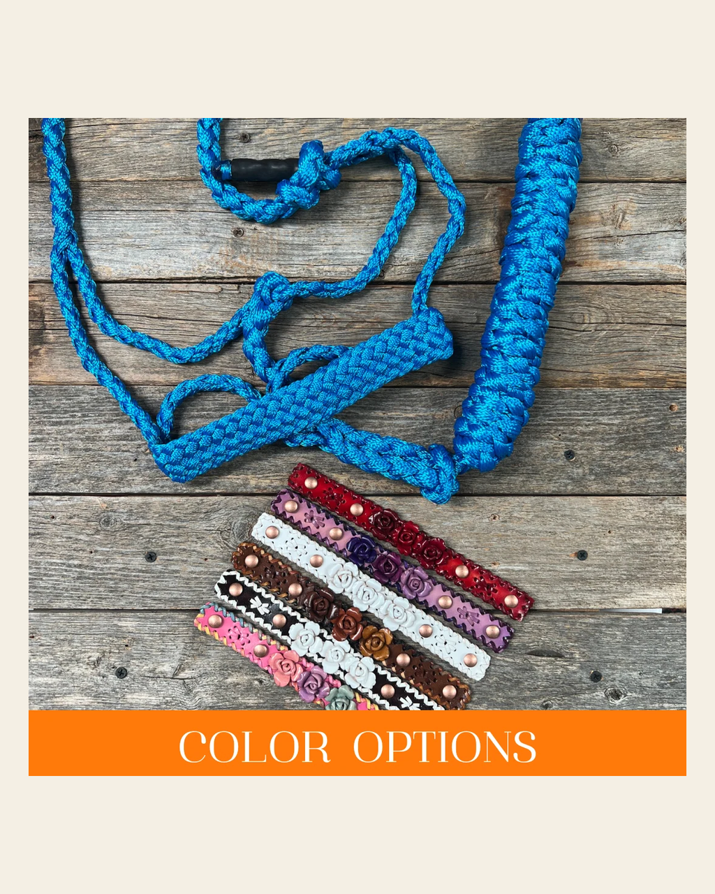 Rose - Blue Mule Tape Halter on a warm cream background