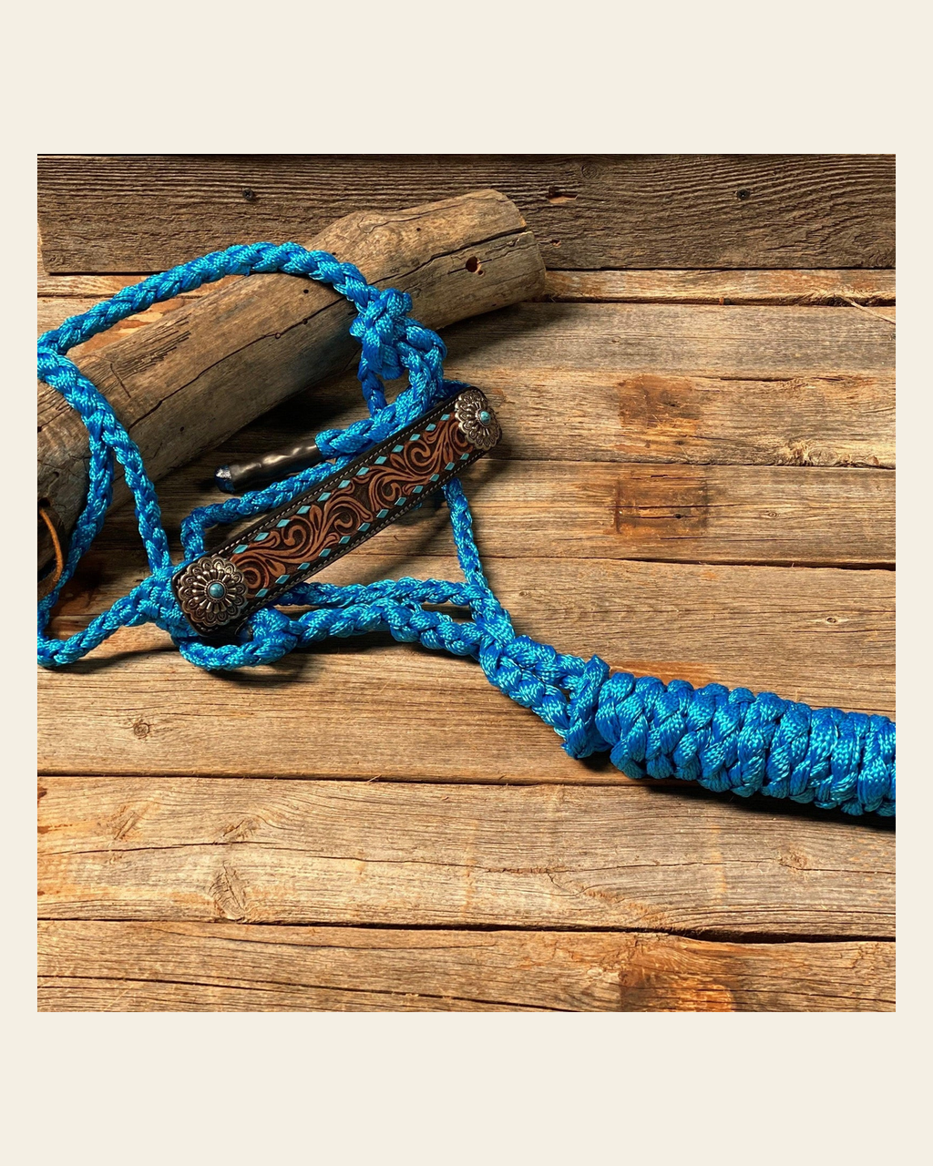 Blue Mule Tape Halter - Turquoise #MT209 on a warm cream background