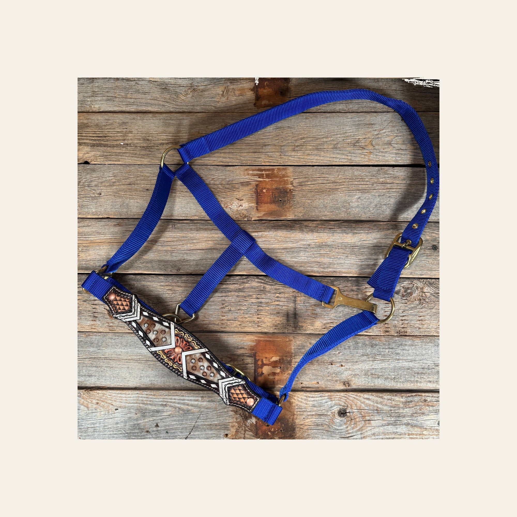 Blue Nylon Halter with Cowhide Leather Noseband #NH119