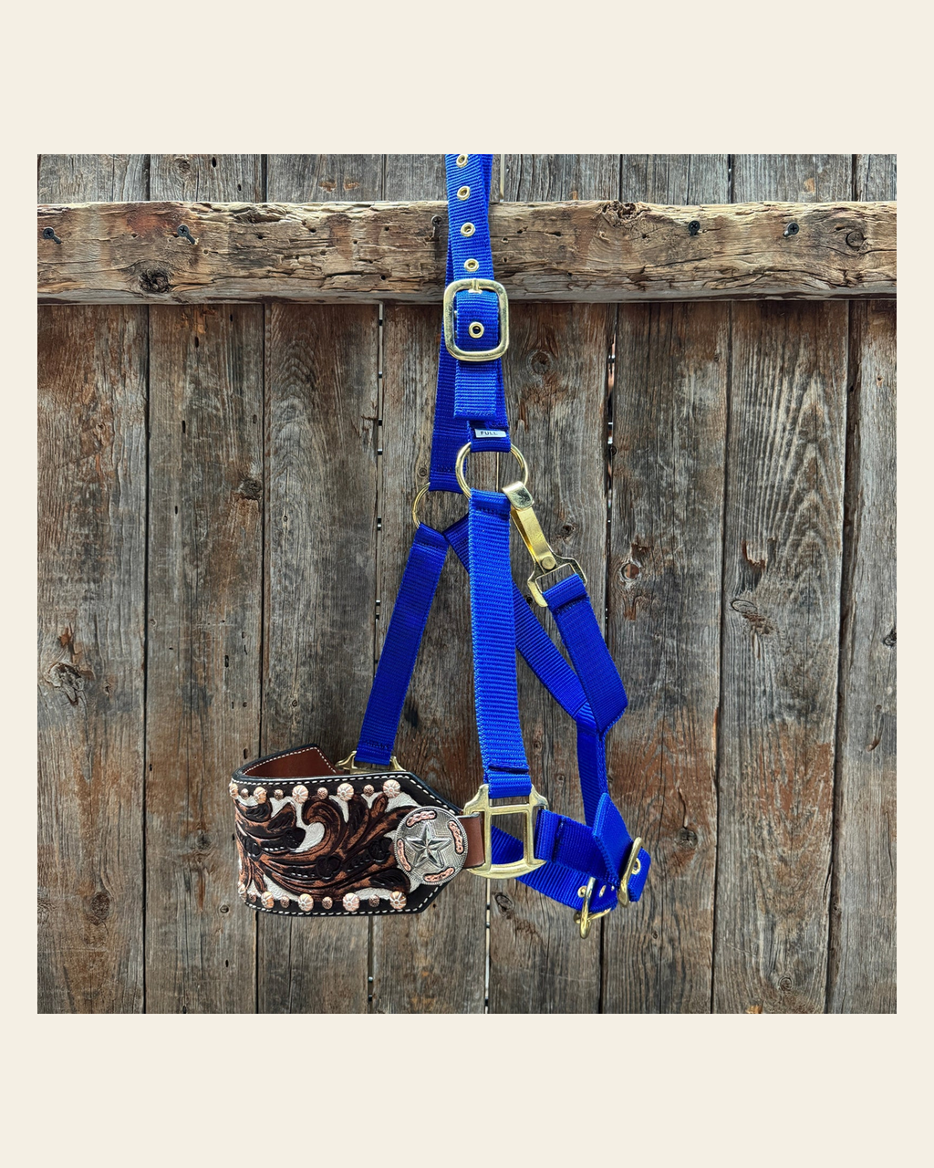 Blue Nylon Horse Halter – Bronc Noseband with Western Conchos NH112 on a warm cream background