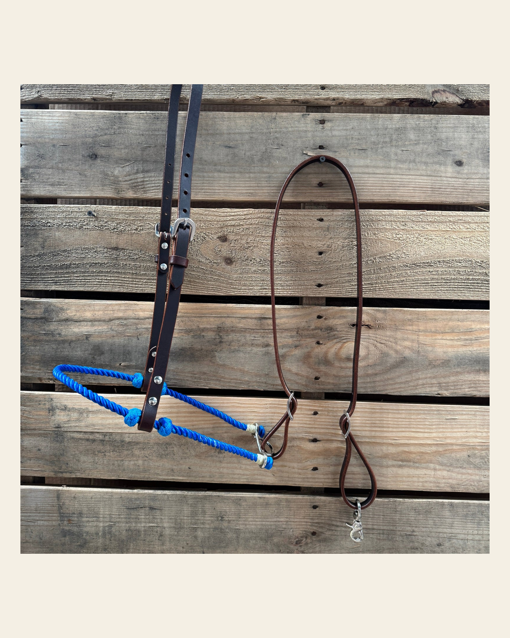Blue Single Rope Noseband Lariat with Leather Hanger #HAN102 on a warm cream background