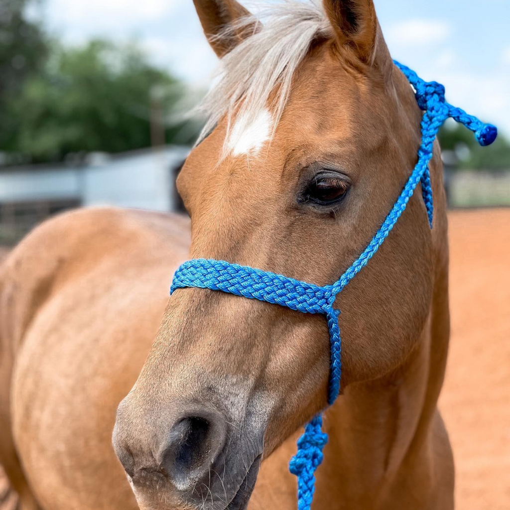 Mule Tape Halters - Assorted Colors- — view 5