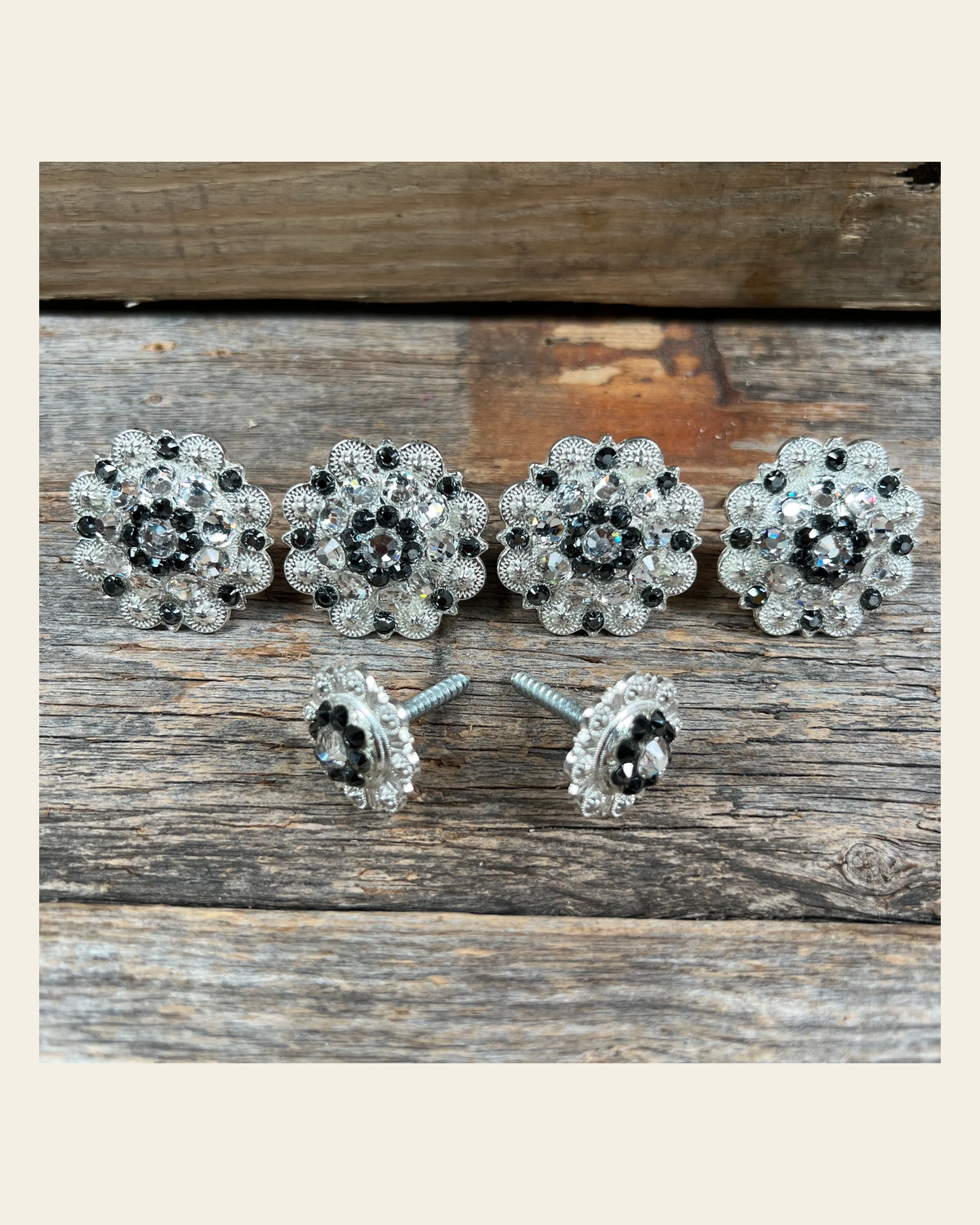 Bright Silver Black & Clear Saddle Conchos on a warm cream background