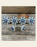 Bright Silver Capri & AB Saddle Conchos on a warm cream background