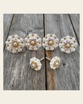 Bright Silver Champagne & AB Saddle Conchos on a warm cream background