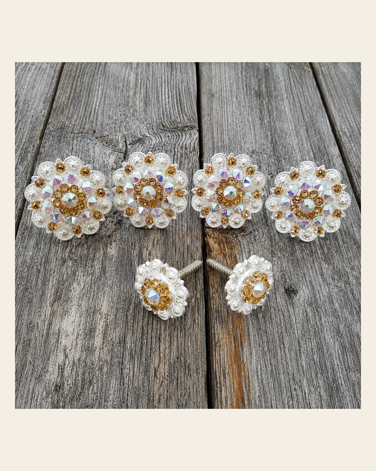 Bright Silver Champagne & AB Saddle Conchos on a warm cream background