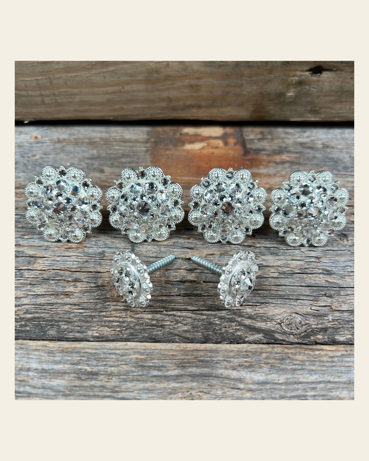 Bright Silver Clear Saddle Conchos on a warm cream background