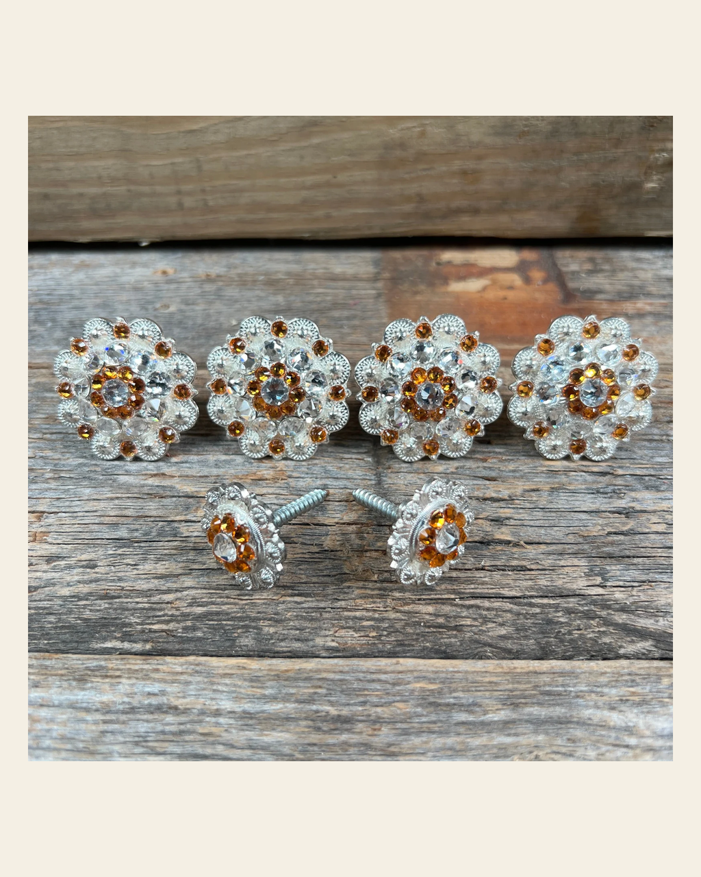 Bright Silver Golden & Clear Saddle Conchos on a warm cream background