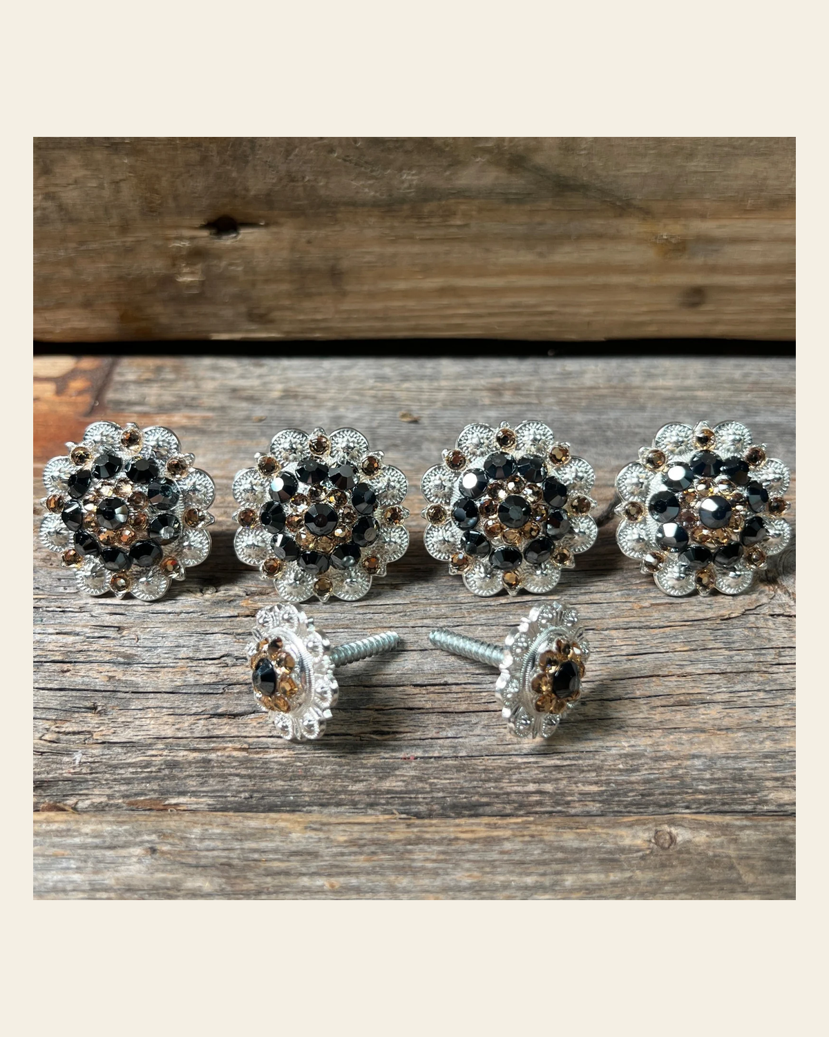 Bright Silver Jet & Champagne Saddle Conchos on a warm cream background