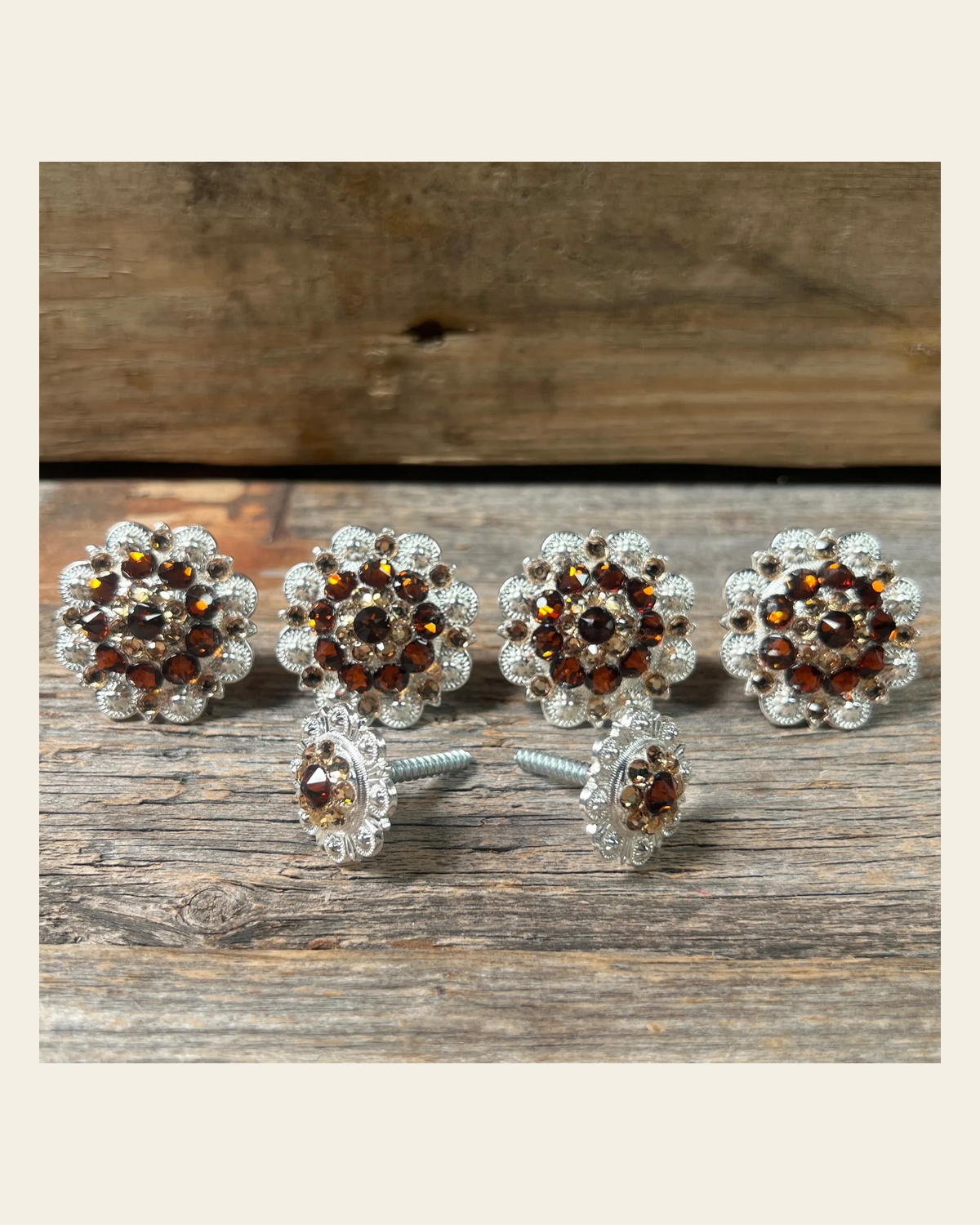 Bright Silver Topaz & Champagne Saddle Conchos on a warm cream background