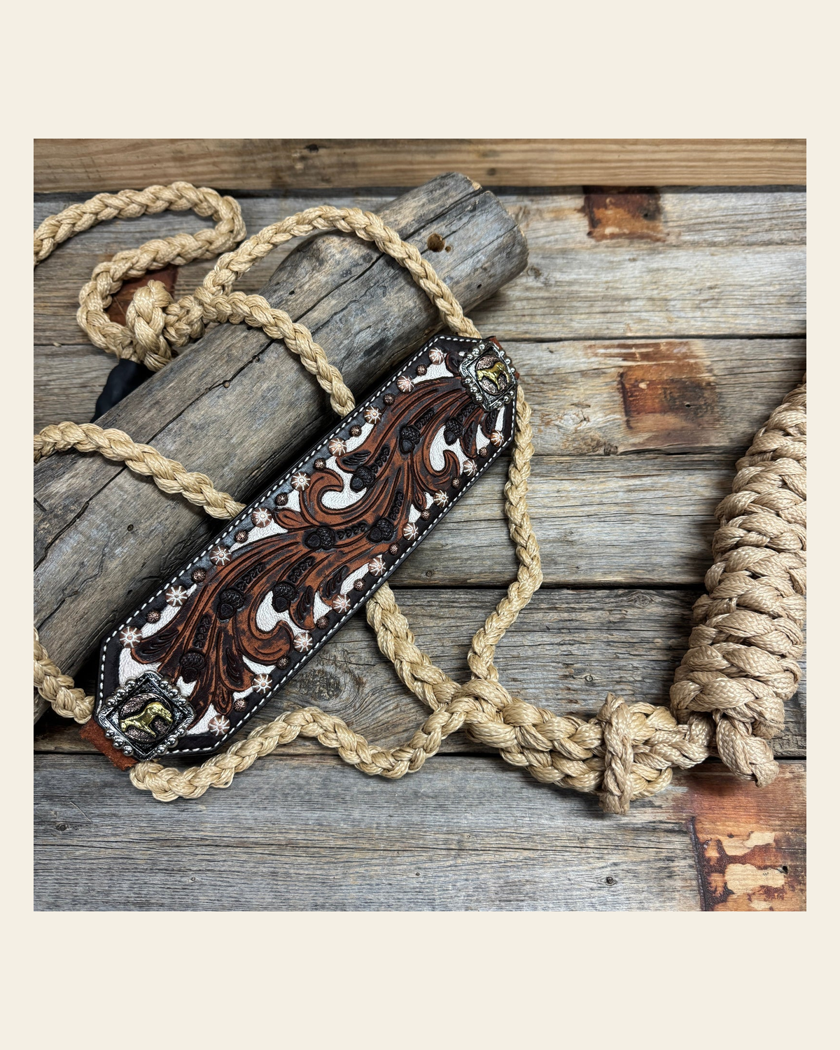 Bronc Noseband Mule Tape Halter with Western Horse Conchos #MT305 on a warm cream background