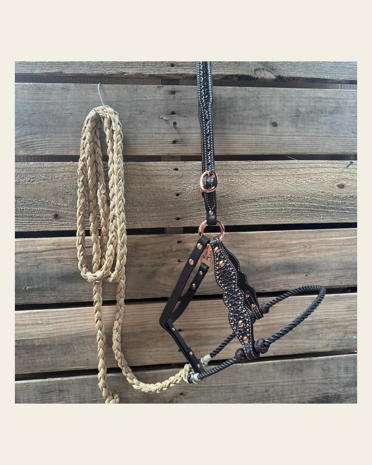 Brown Honeycomb Tooled Lariat & Leather Combo Halter on a warm cream background