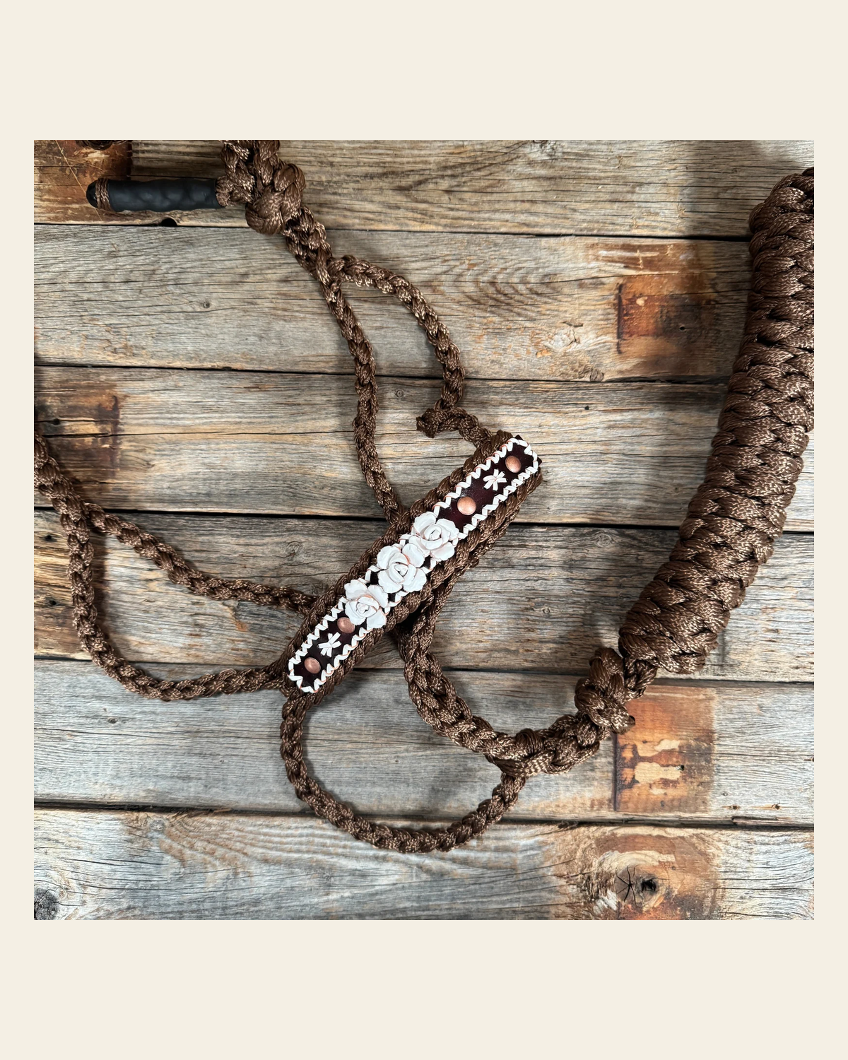Brown Mule Tape Halter - White Roses #MT223 on a warm cream background
